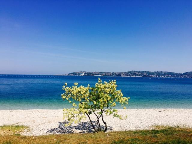 Apartment Umag Nelly 외부 사진