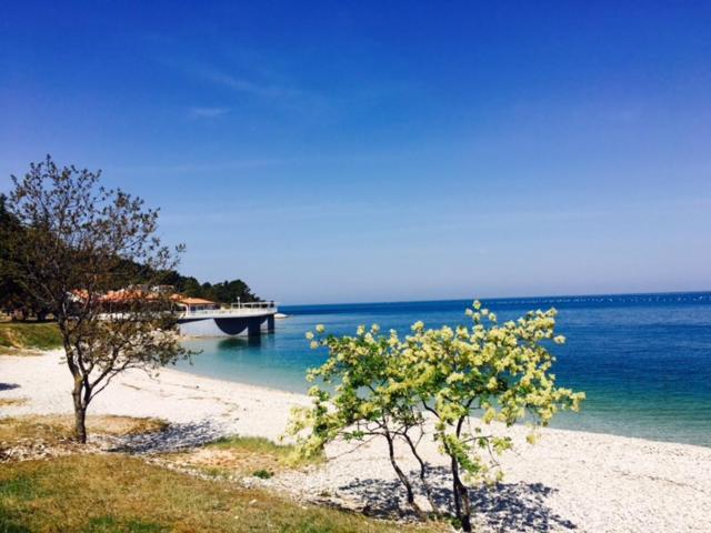 Apartment Umag Nelly 외부 사진